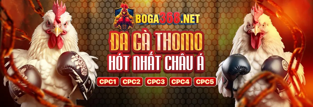 Tổng hợp các trò chơi hàng đầu tại C8BET